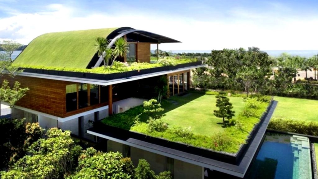 GREEN ROOFS